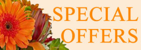 Special Offers November