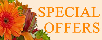 Special Offers October